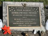 image of grave number 961610